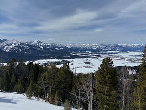 Meet your Posher, Jodie